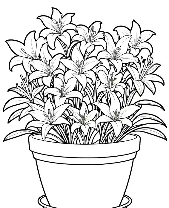 lily flower pot coloring page